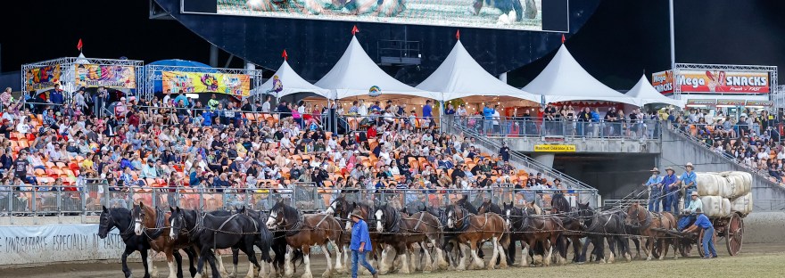sydney easter show 2022